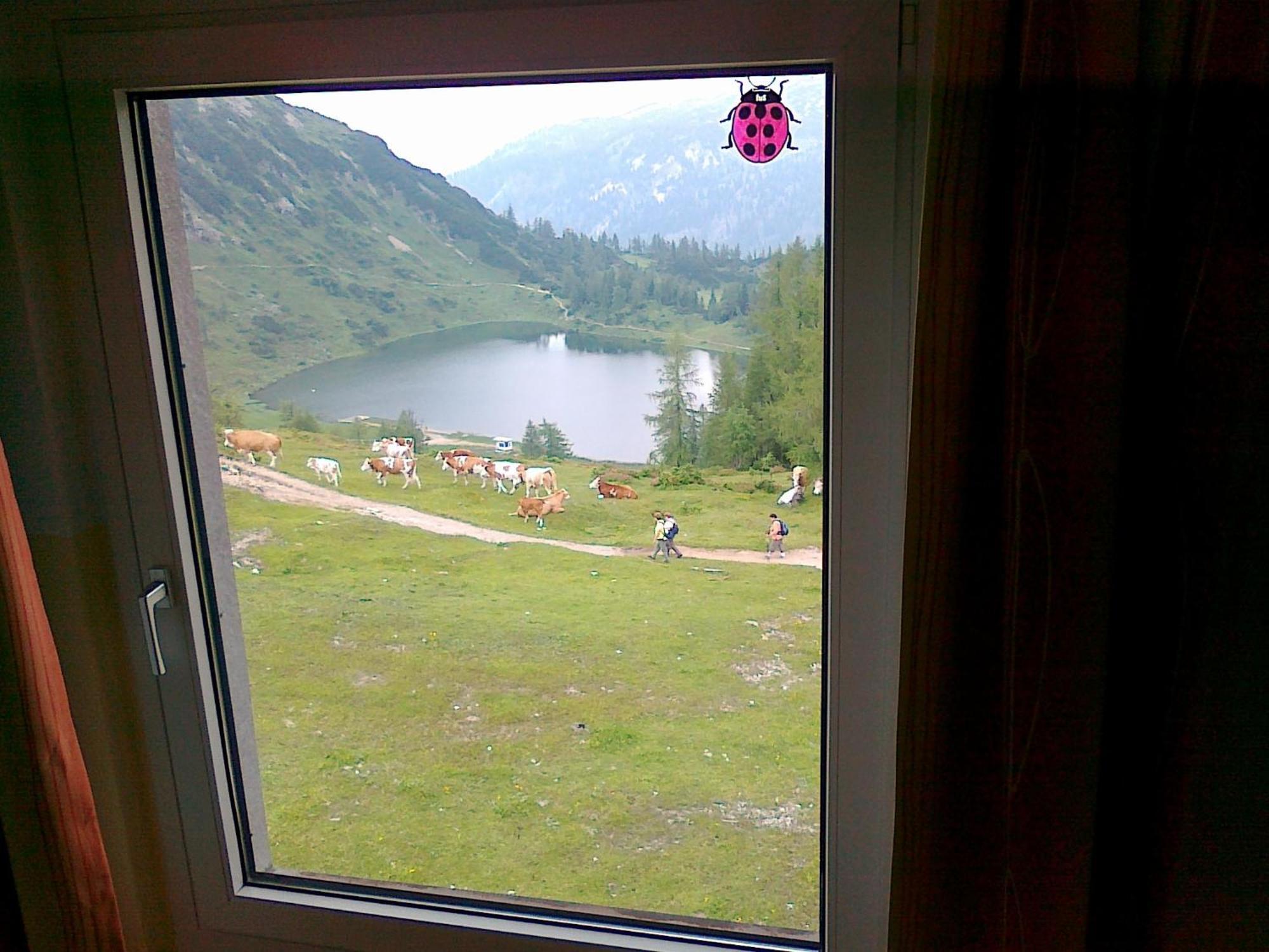 Hotel Berghof Tauplitzalm Dış mekan fotoğraf