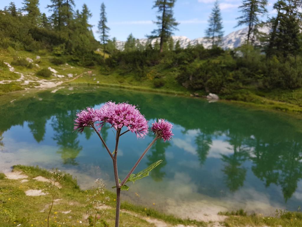 Hotel Berghof Tauplitzalm Dış mekan fotoğraf
