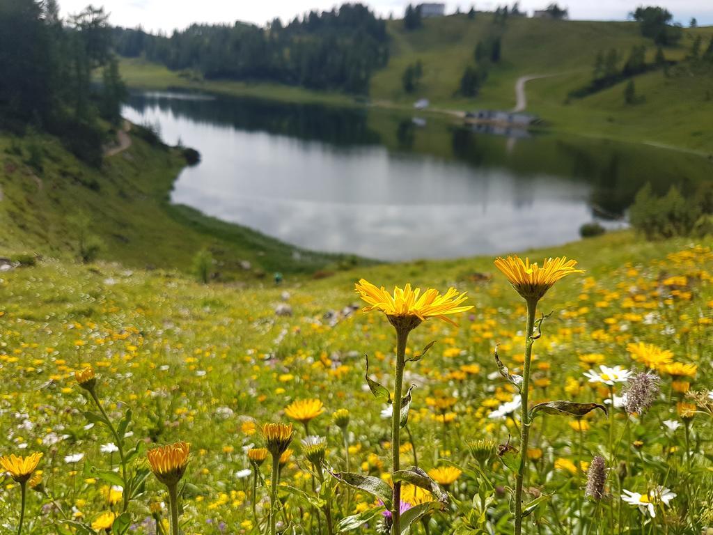 Hotel Berghof Tauplitzalm Dış mekan fotoğraf